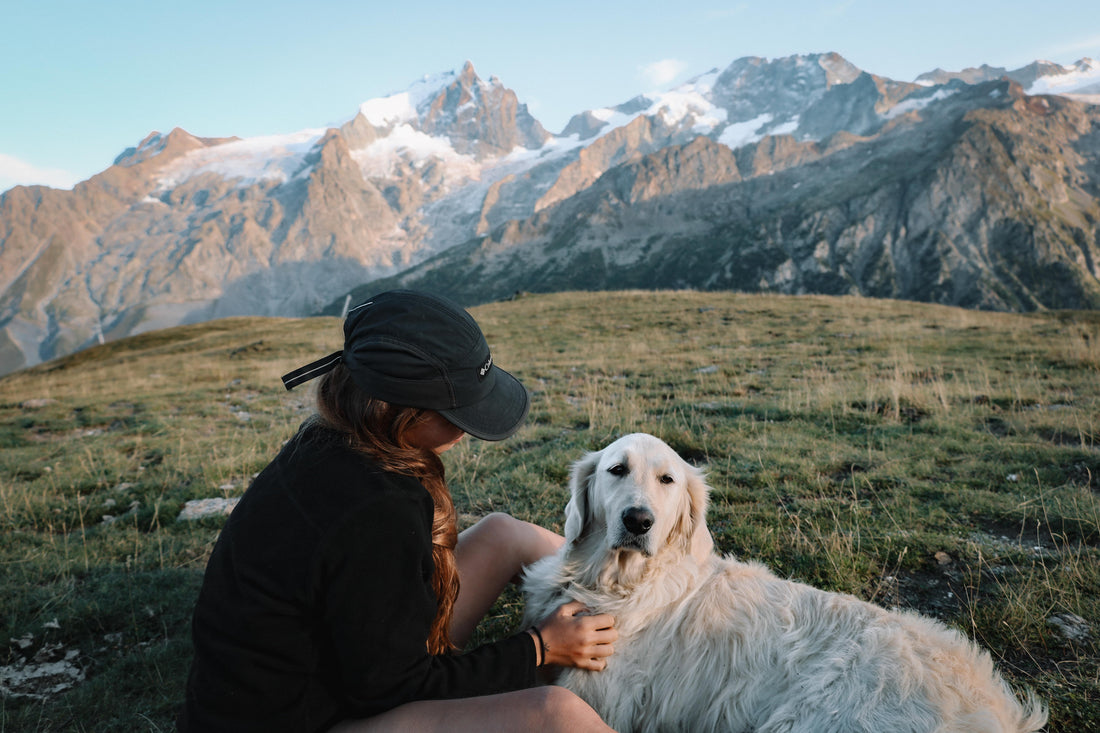 Soetkin & Finn – Vanlife, avontuur en een onbreekbare band