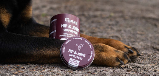 Gutsy honden supplementen en duurzame hondenvoeding