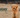 A dog on a field, Gutsy logo and Winner logo.