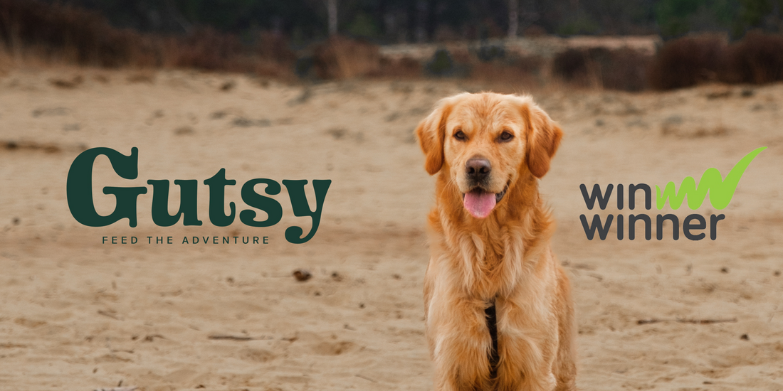 A dog on a field, Gutsy logo and Winner logo.