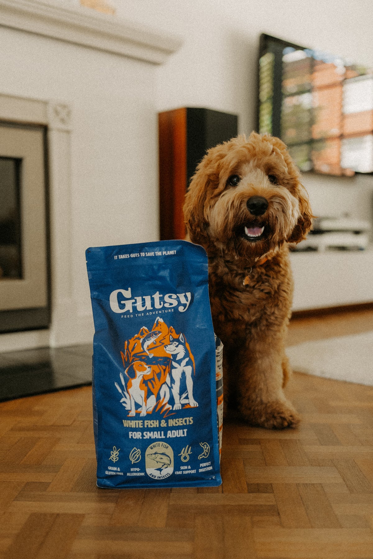 Hond naast een zak Gutsy White Fish & Insects hondenvoer