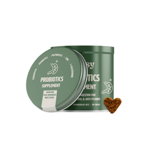 Probiotics Supplement