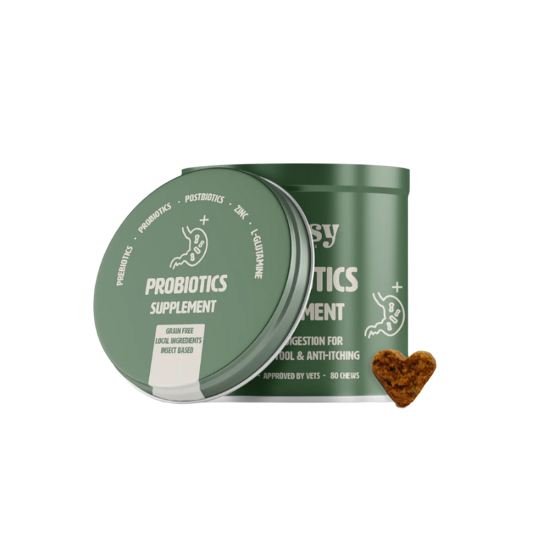 Probiotics Supplement